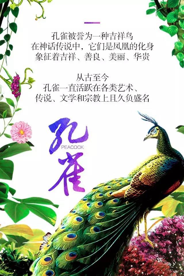 【915-918邵陽(yáng)秋季車(chē)展】鳳臨枝頭，雀雀雀雀雀實(shí)驚艷！