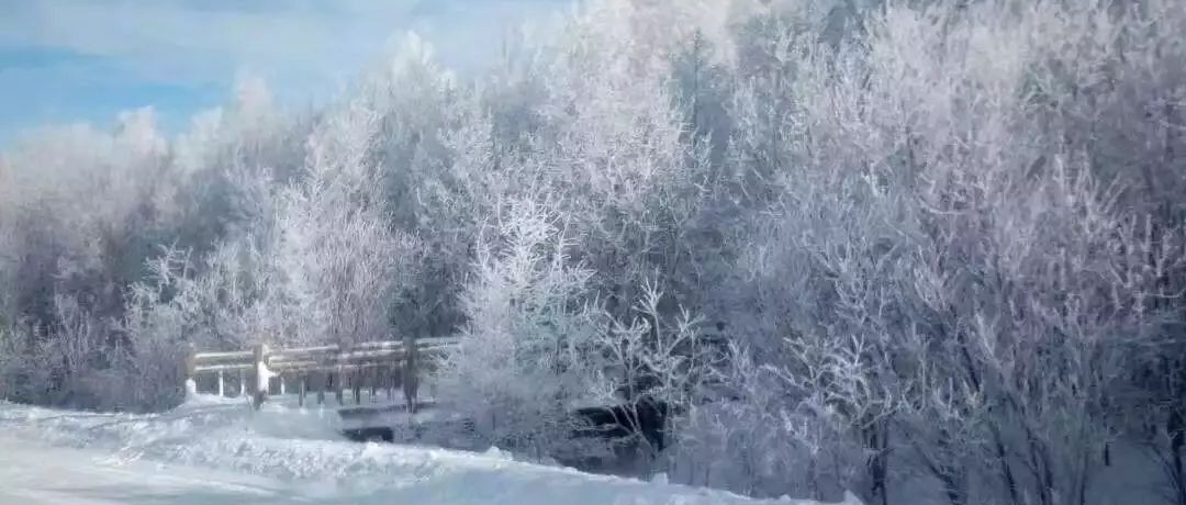 奕行記|奕路向北，駛向雪國(guó)阿爾山